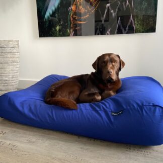Dog's Companion® Hondenbed royal blue extra small