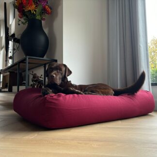 Dog's Companion® Hondenbed wijnrood medium