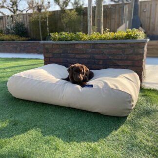 Dog's Companion® Hondenbed beige superlarge