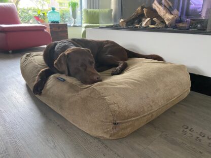 Dog's Companion® Hondenbed duo gold ribcord small