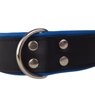 Leren hondenhalsband zwart / blauw