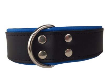 Leren hondenhalsband zwart / blauw