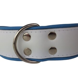 Leren hondenhalsband wit / lichtblauw