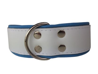 Leren hondenhalsband wit / lichtblauw