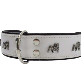 Leren halsband Engelse Bulldog