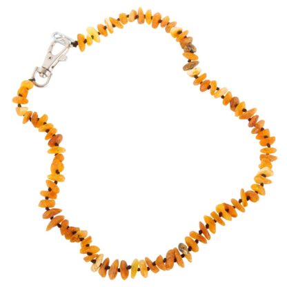 Honden-Barnsteenketting, cognac, Maat: 2