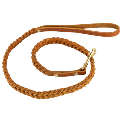 Cloud7® Hondenriem Central Park, camel, Maat: S