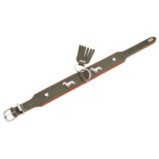 HUNTER Hondenhalsband München, groen/cognac, Maat: 37