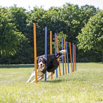 TRIXIE Agility-Slalomstangen Fun Agility, blauw/oranje