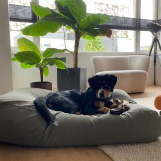 Dog's Companion® Hondenbed basalt