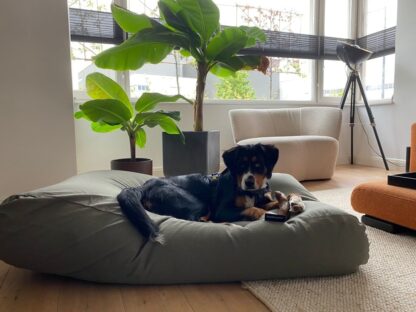 Dog's Companion® Hondenbed basalt