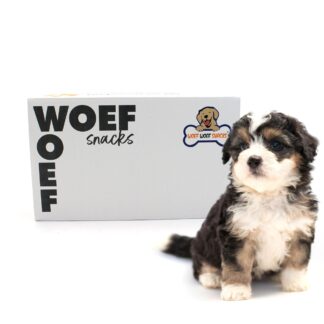 Woefwoefsnacks - Puppy Box
