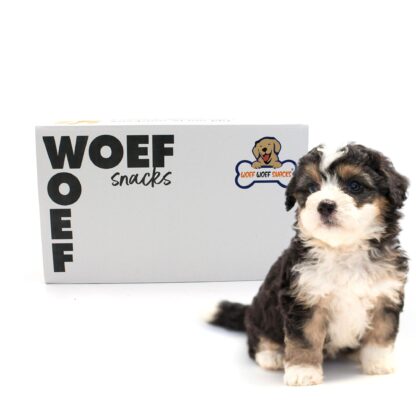 Woefwoefsnacks - Puppy Box