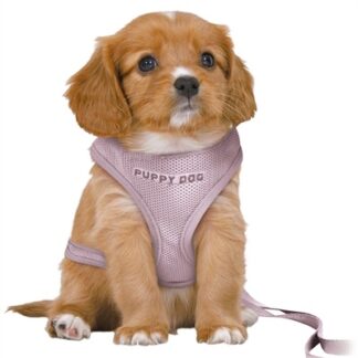 Trixie Trixie hondentuig junior puppy softtuig met riem lila