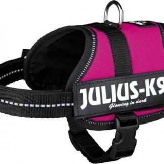 Julius k9 Julius k9 power-harnas / tuig voor labels fuchsia