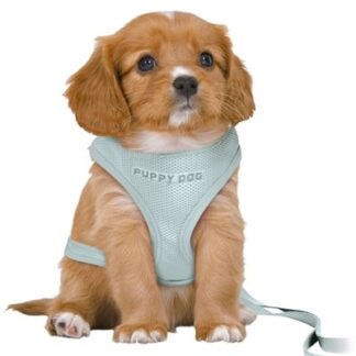Trixie Trixie hondentuig junior puppy softtuig met riem mintgroen