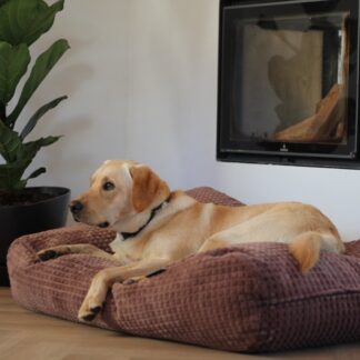 Dog's Companion® Hondenbed little square soft brown large