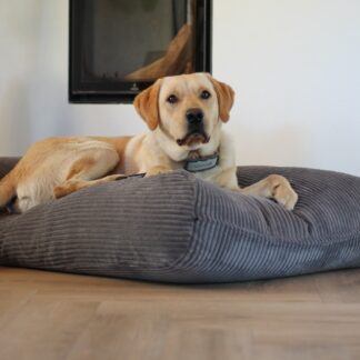 Dog's Companion® Hondenbed muisgrijs giant ribcord superlarge