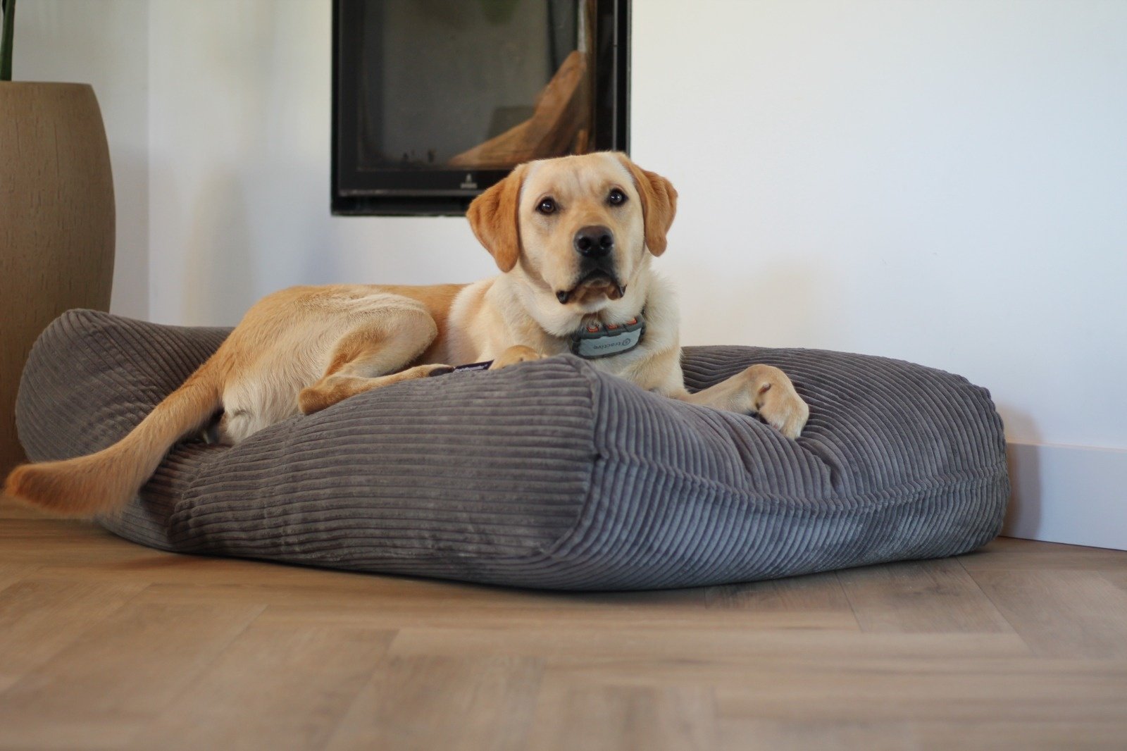 Dog's Companion® Hondenbed muisgrijs giant ribcord extra small