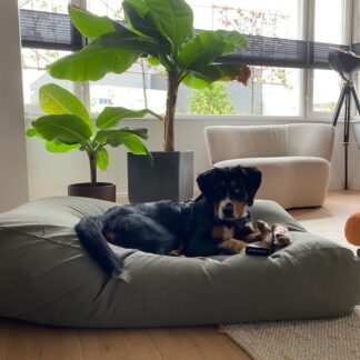 Dog's Companion® Hondenbed basalt superlarge