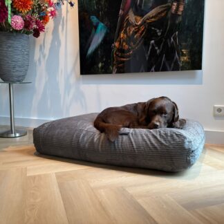 Dog's Companion® Hondenbed muisgrijs double ribcord superlarge