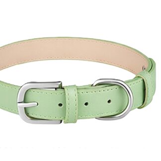 Dog's Companion® Hondenhalsband PU-leer