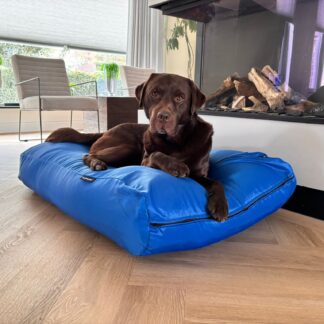 Dog's Companion® Hondenkussen kobalt blauw vuilafstotende coating